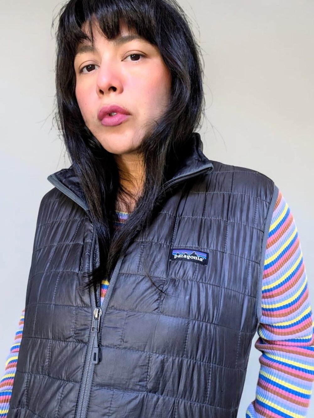 Patagonia nano puffer quilt minimalist utility gorpcore full zip vest men's M